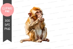 Thinking monkey clipart png Product Image 1