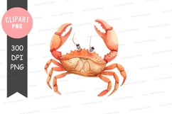 Crab clipart png Product Image 1