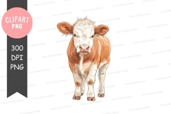 Cute brown and white cow Product Image 1