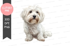 Cute white dog clipart png Product Image 1