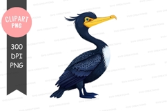 Black-necked cormorant clipart png Product Image 1