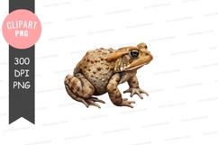 Toad clipart png Product Image 1