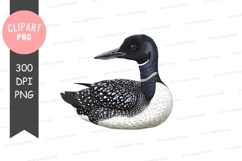 Elegant loon clipart png Product Image 1