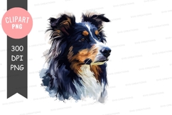 Portrait of a shetland sheepdog Product Image 1