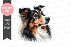 Portrait of a shetland sheepdog Product Image 1