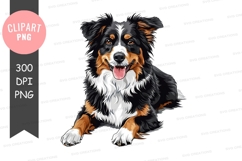 Happy australian shepherd puppy Product Image 1