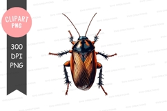 Colorful beetle clipart png Product Image 1