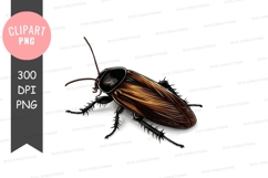 Brown cockroach clipart png Product Image 1