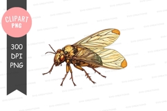 Insect clipart png Product Image 1