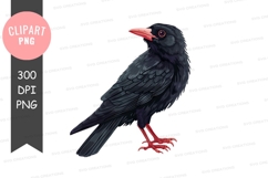 Black bird with red feet and beak clipart png Product Image 1