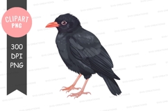 Black bird with red beak Product Image 1