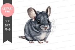 Chinchilla clipart png Product Image 1