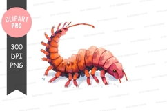 Vibrant centipede clipart png Product Image 1