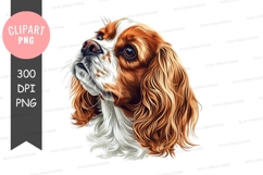 Portrait of a cavalier king charles spaniel Product Image 1