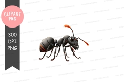 Cartoon ant clipart png Product Image 1
