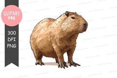 Capybara clipart png Product Image 1