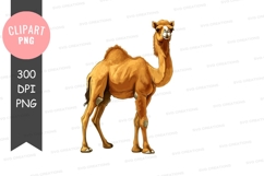 Cartoon camel clipart png Product Image 1