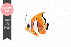 Vibrant orange clownfish Product Image 1