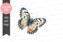 Blue and white butterfly clipart png Product Image 1