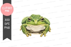 Green frog clipart png Product Image 1