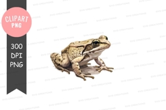 Brown frog clipart png Product Image 1