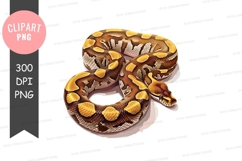Ball python clipart png Product Image 1
