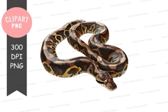 Brown and black python clipart png Product Image 1