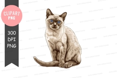 Siamese cat clipart png Product Image 1