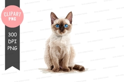 Siamese kitten clipart png Product Image 1