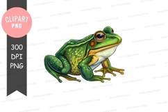 Green frog clipart png Product Image 1