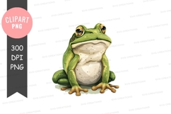 Green frog clipart png Product Image 1