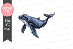 Graceful whale illustration Product Image 1