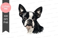 Playful boston terrier clipart png Product Image 1