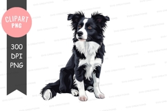 Border collie puppy Product Image 1