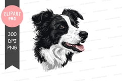 Happy border collie clipart png Product Image 1