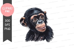 Playful baby chimpanzee clipart png Product Image 1