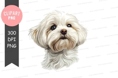 Cute shih tzu puppy clipart png Product Image 1
