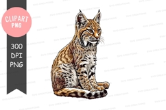 Bobcat clipart png Product Image 1