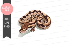 Brown and black snake clipart png Product Image 1