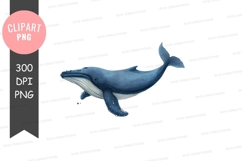 Whale clipart png Product Image 1