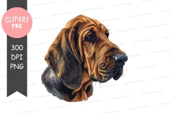 Portrait of a basset hound Product Image 1