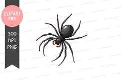Black widow spider clipart png Product Image 1