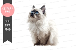 Beautiful siamese cat clipart png Product Image 1