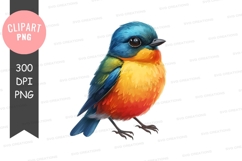 Colorful bird clipart png Product Image 1
