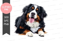 Playful bernese mountain dog puppy Product Image 1