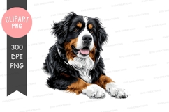 Happy bernese mountain dog Product Image 1