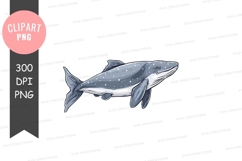 Whale clipart png Product Image 1