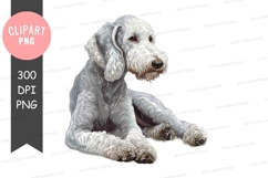 White dog clipart png Product Image 1