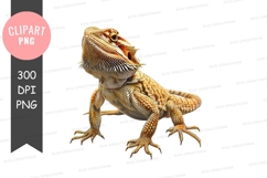 Bearded dragon clipart png Product Image 1