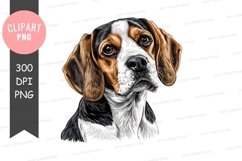 Portrait of a beagle dog Product Image 1